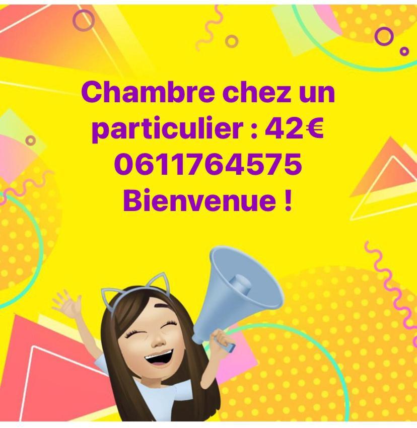 Nancy Hyper Centre, Chambre Prive Chez L'Habitant En Colocation Екстериор снимка