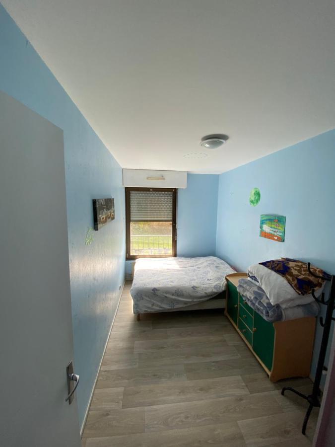 Nancy Hyper Centre, Chambre Prive Chez L'Habitant En Colocation Екстериор снимка